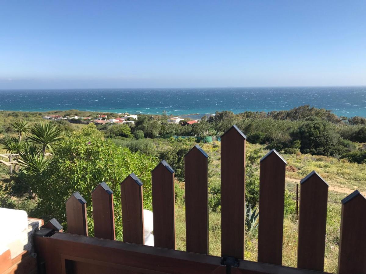 Livingtarifa Villa Concha エクステリア 写真